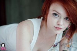 1206349.jpg