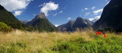 IMG_3500.jpg