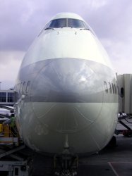 JAL.jpg