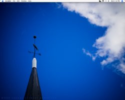 Picture-5.jpg