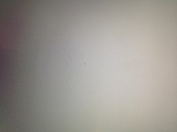 IMG_4334.jpg