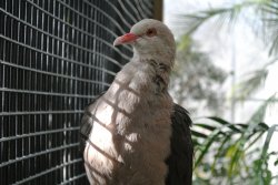 DSC_0699.jpg