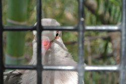 DSC_0701.jpg