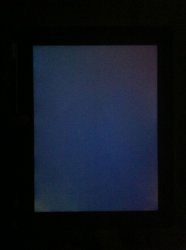 IMG_0129.jpg