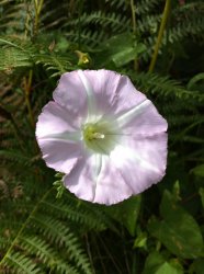 IMG_0359.jpg