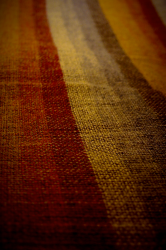 coperta lomo.png
