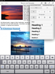screenshot-formatting-portrait.png