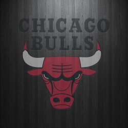 bulls1.jpg