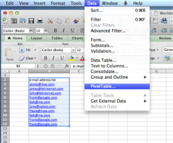 Excel Pivot Table 1.png