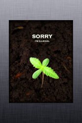 weed.jpg