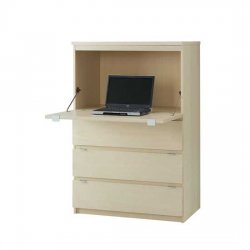 96%7C0000099e8%7C81ec_hideaway-desk-ikea.jpg
