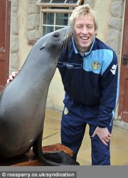 seal.jpg
