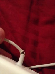 IMG_0077.jpg