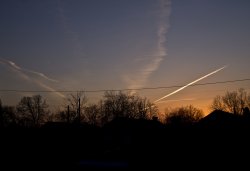 IMG_0277.jpg