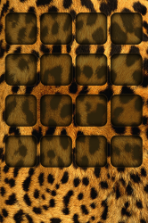 IMG_0458.PNG