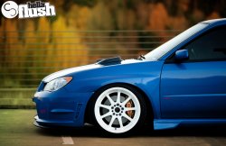 Tony-STi-3.jpg
