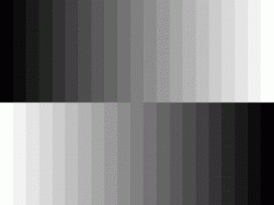 grey.gif