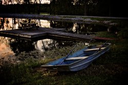 DSC_4179.jpg