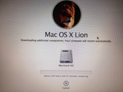 lion_install.jpg