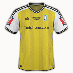 FMM_CupFinal_1112.png