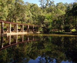 Reflection-B.jpg