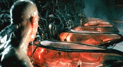 the-matrix.gif the-matrix.gif