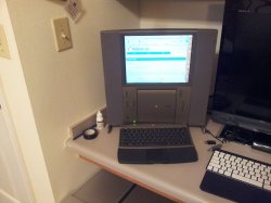 IMG_20120525_001007.jpg