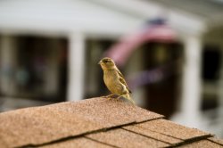 IMG_1194.jpg