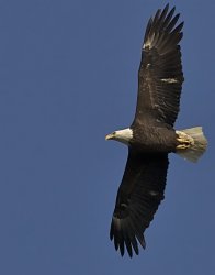 IMG_1157.jpg