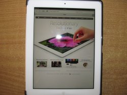 IMG_1334 copy.jpg