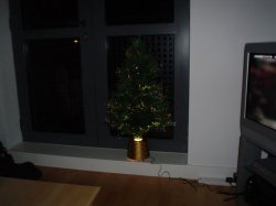 xmastree.jpg