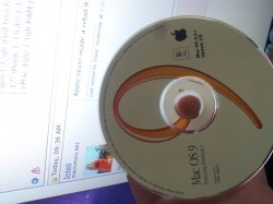 IMG_20120612_111137.jpg