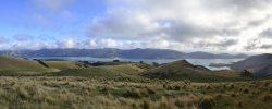 Lyttelton Harbour.jpg