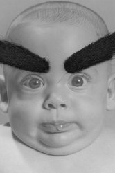 BabyBrows.jpg