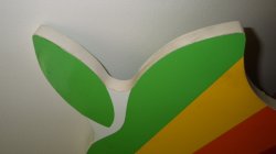 IMGP0475.JPG