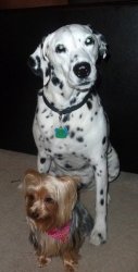 2012-06-22 07.57.20.jpg