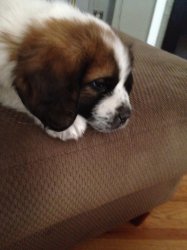 IMG_1027.jpg