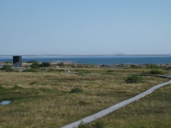 fogo 012.JPG