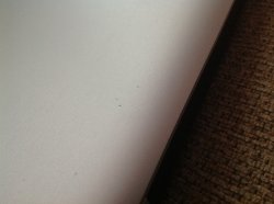 photo.JPG