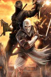SnakeEyes StormShadow.jpg