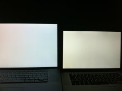 yellow tint.jpg