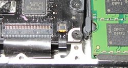 IMG_1608 cropped.jpeg