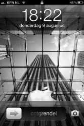 foto (1).PNG
