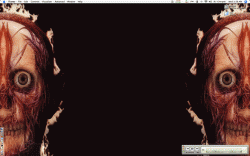 Picture-1.gif