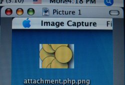 topright copy.jpg