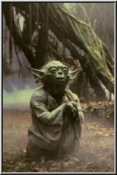 yoda-2.JPG