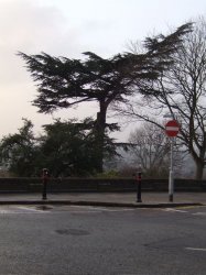07:01:2006 15:14.jpg.jpg