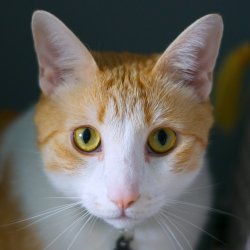 IMGP6678.jpg