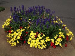 IMG_1784.jpg