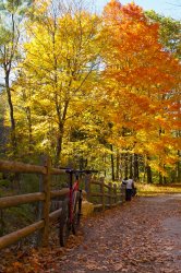Fall Bike.jpg